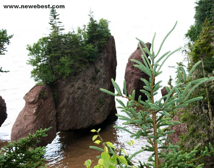 The Hopewell Rocks